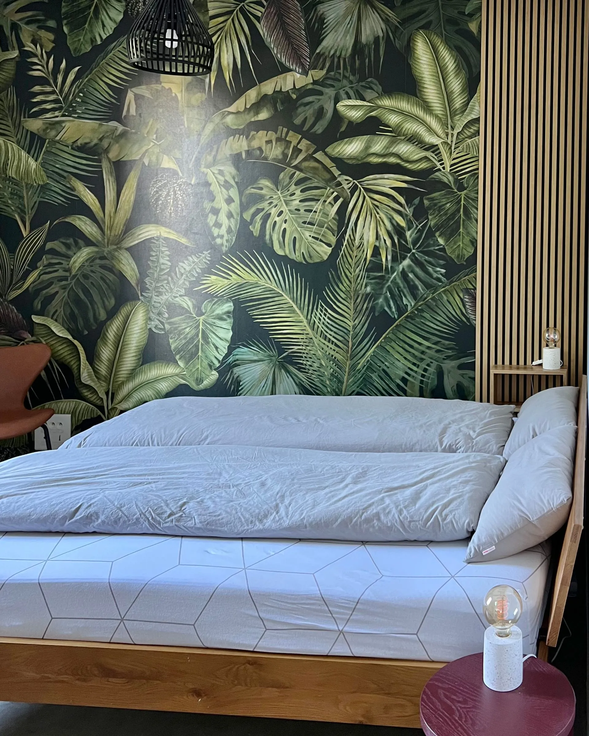 Jungle-Zimmer mit Dschungel-Tapete und Kingsize-Bett — Bild 1