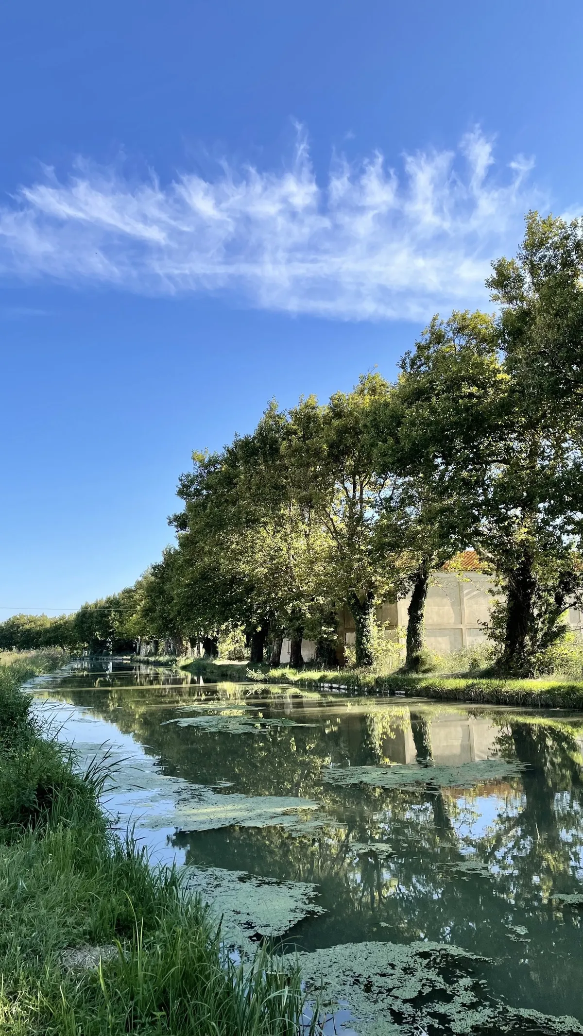Ausblicke auf Canal de la Robine, Weinberge und Sonnenuntergang — Bild 1