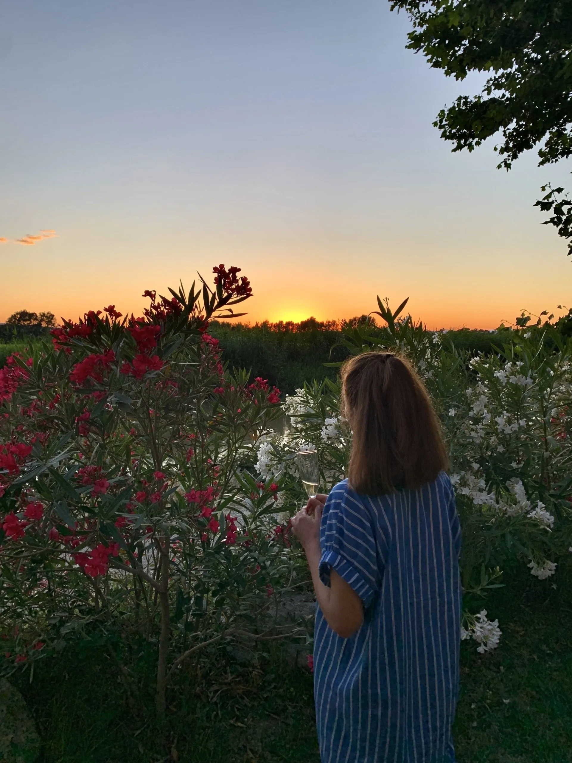 Garten am Canal de la Robine und Sonnenuntergang über den Weinfeldern — Bild 2