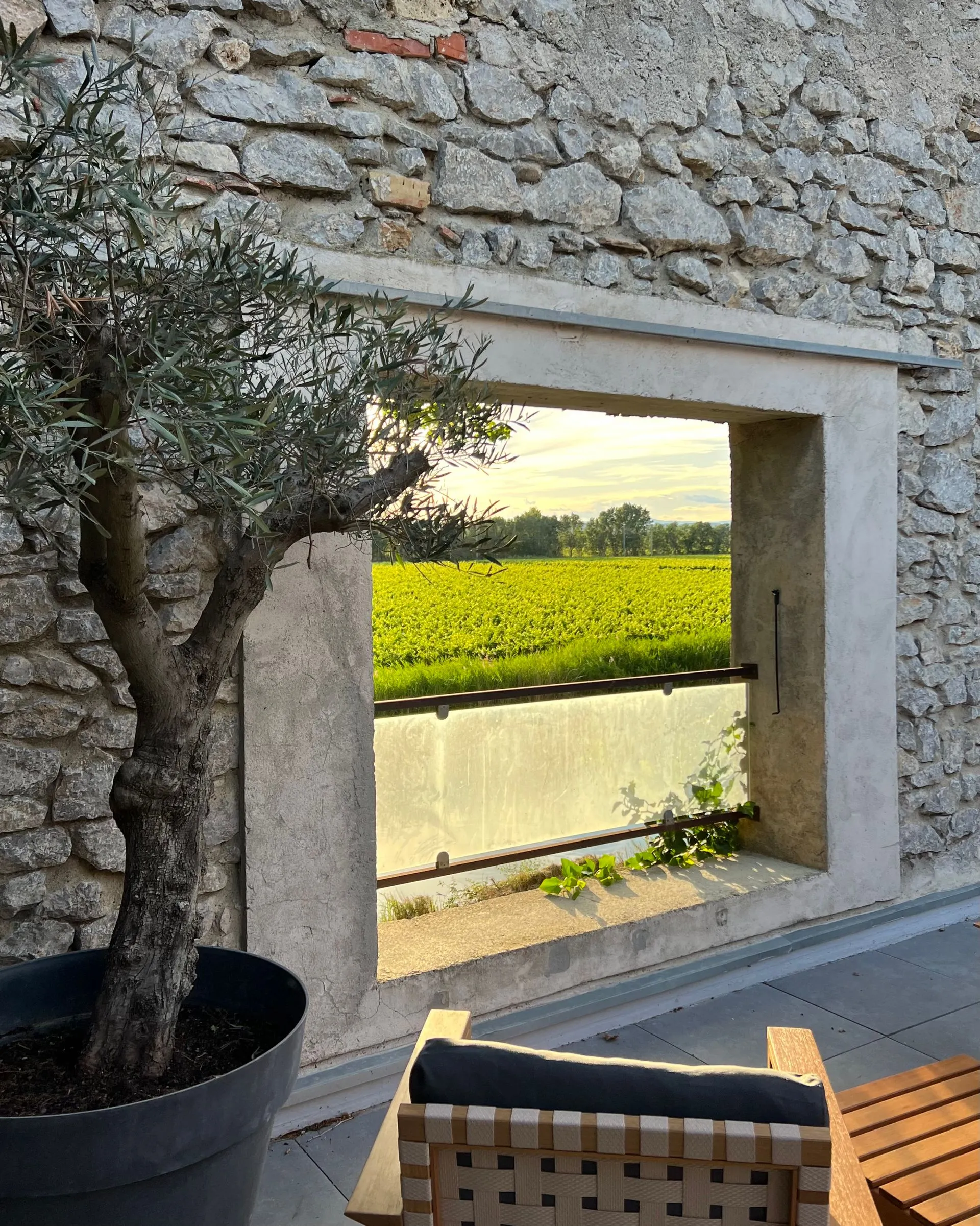 Garten am Canal de la Robine und Sonnenuntergang über den Weinfeldern — Bild 3