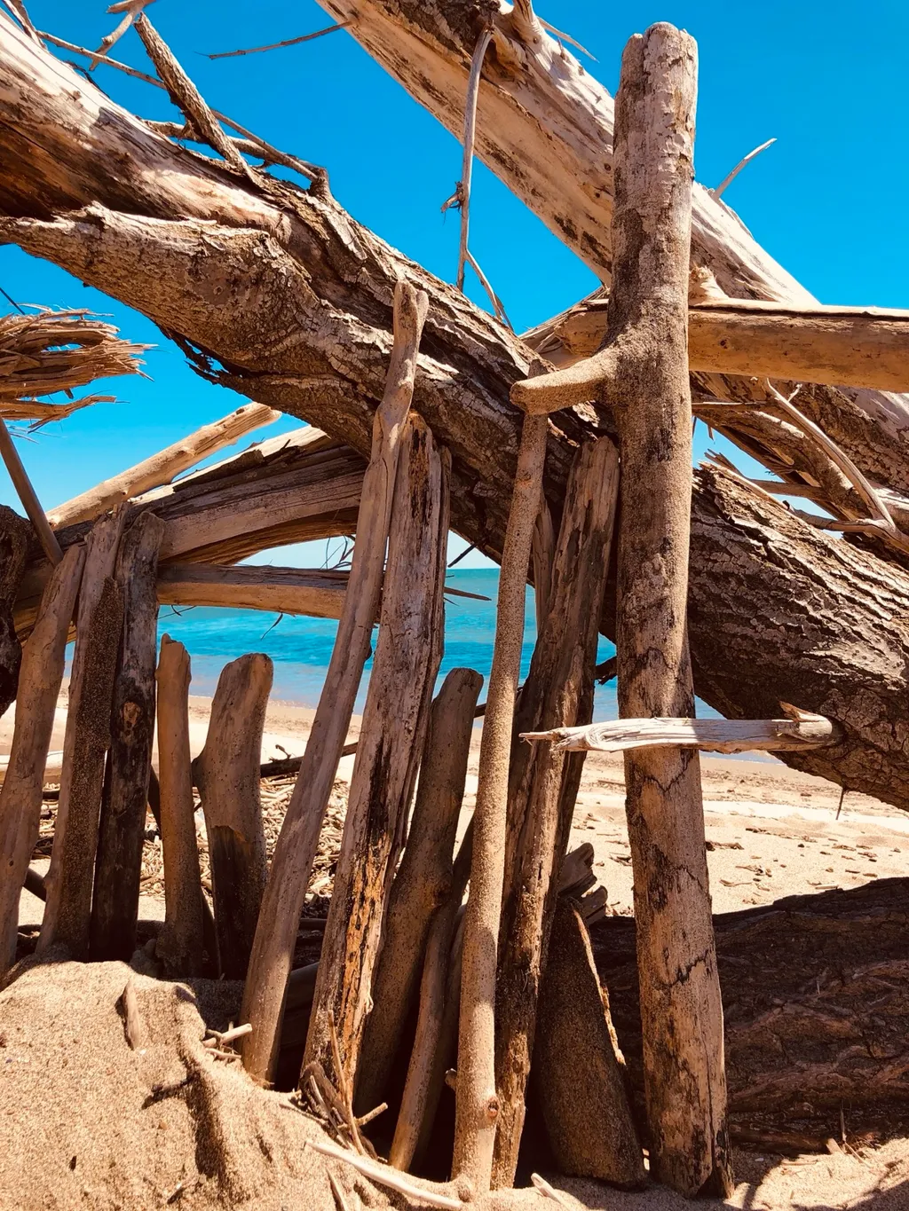 Eine aus Treibholz gebaute Strandburg am Strand von Les Cabanes de Fleury