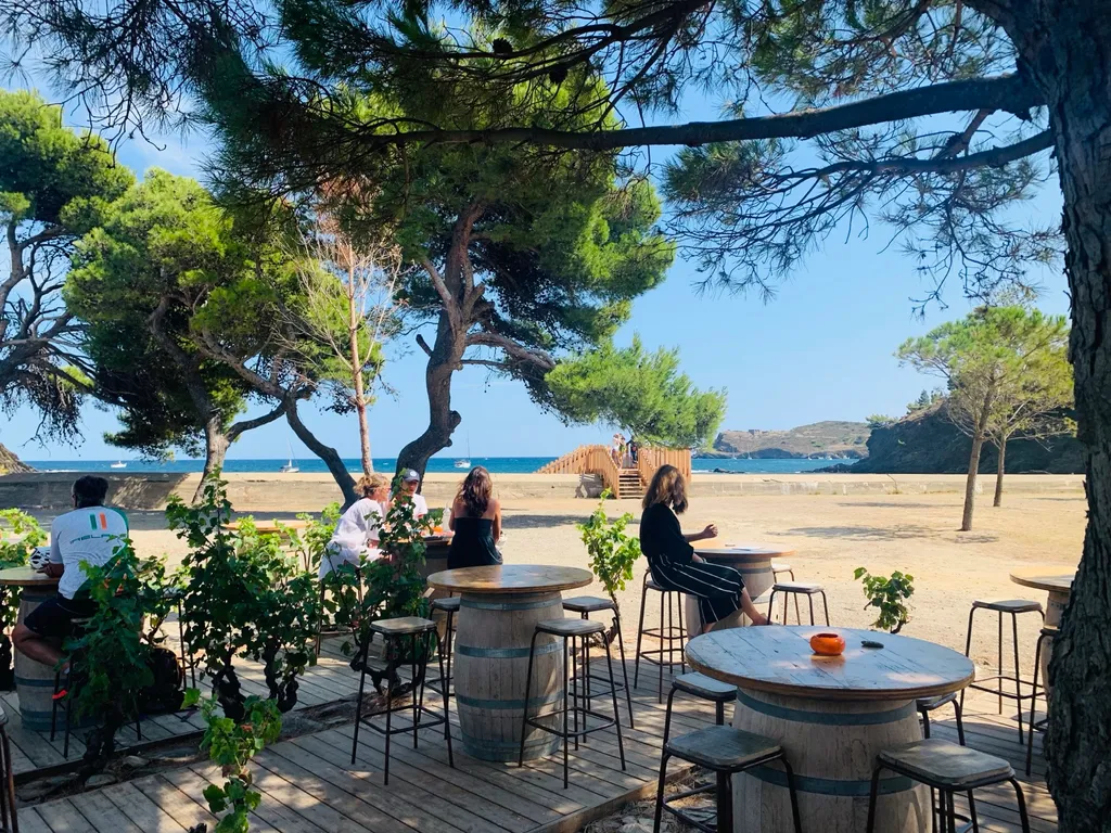 Die Terrasse der Clos de Paulilles unter Pinien mit Blick auf die Bucht