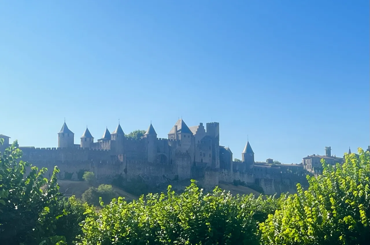Die Cité von Carcassonne mit ihren Türmen, davor Weinreben