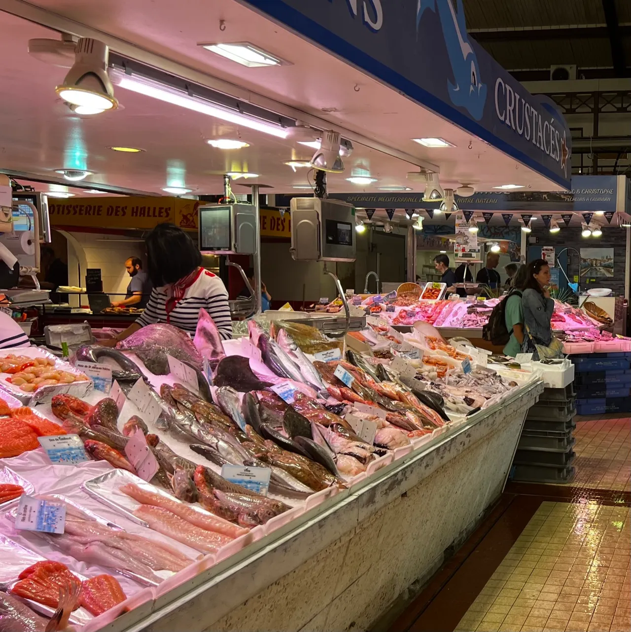 Die Fischtheke: fangfrischer Mittelmeerfisch und Krustentiere auf Eis