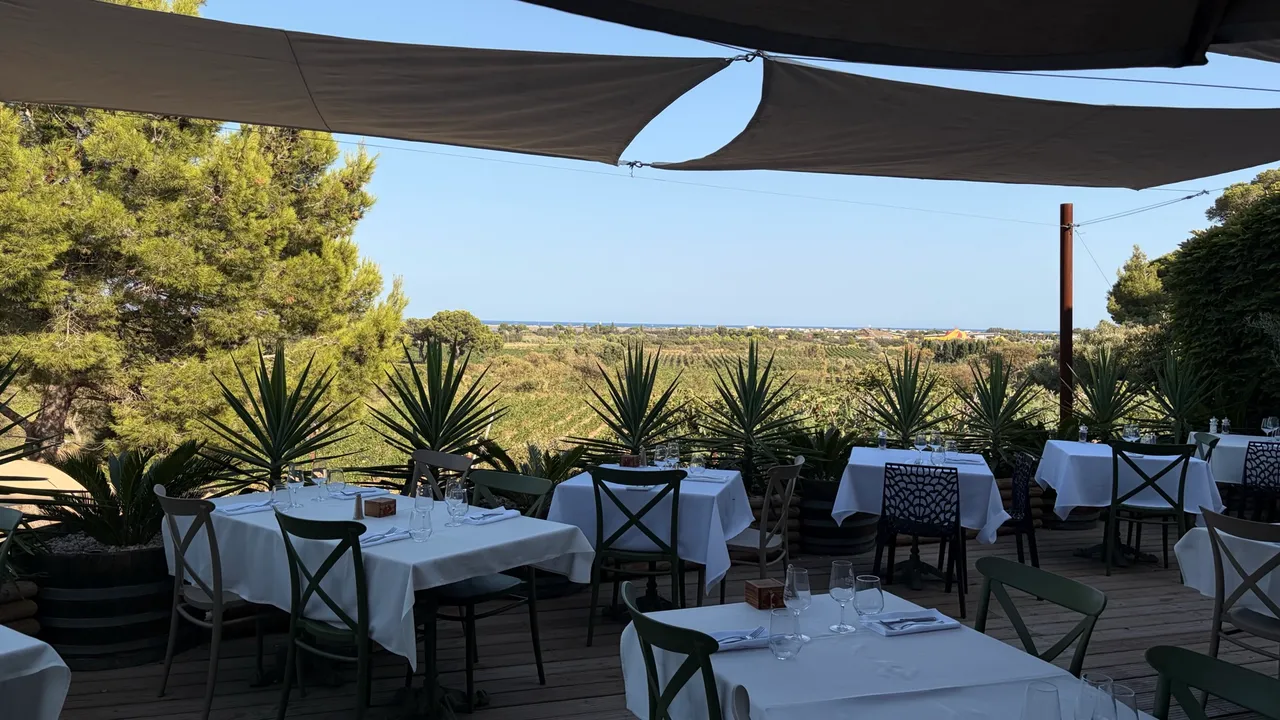 Gedeckte Tische unter Sonnensegeln auf der Terrasse des Château Le Bouis, dahinter Reben und das Meer