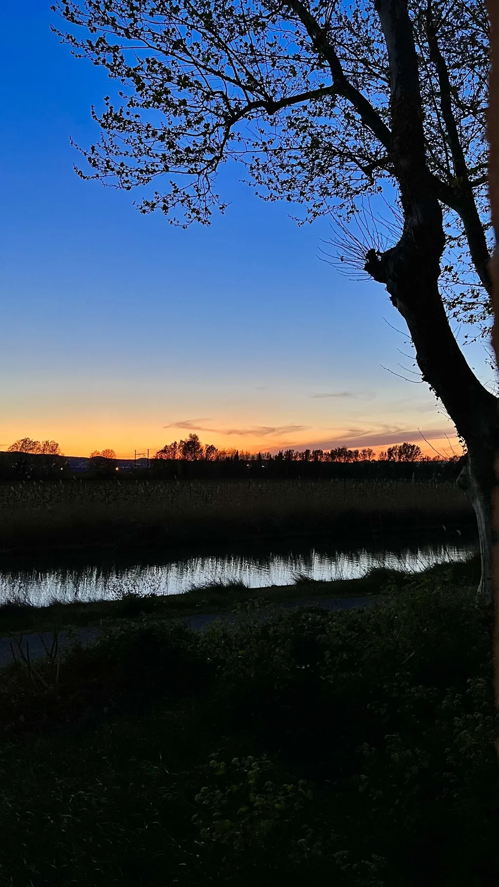Der Kanal in der blauen Stunde: oranger Horizont hinter kahlen Bäumen, das Wasser spiegelt den letzten Himmel