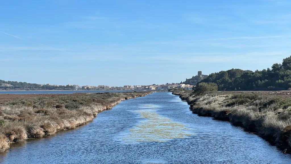 Ein stiller Wasserlauf zieht durch die winterlichen Salzwiesen Richtung Gruissan, am Horizont die Tour Barberousse