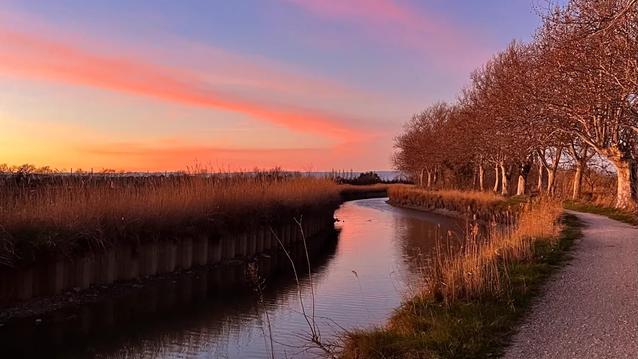 Der Treidelpfad am Kanal im rosafarbenen Abendlicht eines Wintertags, gesäumt von kahlen Platanen