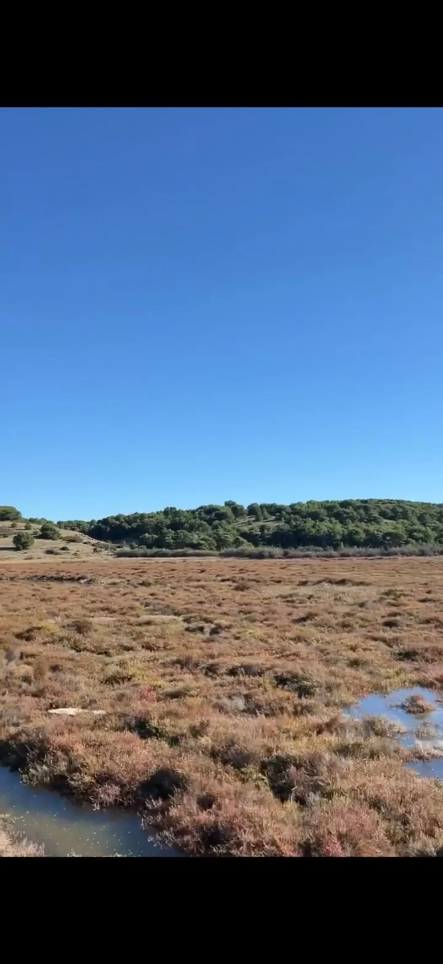 Rot gefärbte Salzwiesen ziehen sich bis zum Fuß der Clape, darüber tiefblauer Himmel